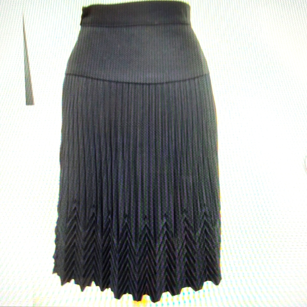 Elegant Designer Valentino Style Black Pleated Skirt Size S